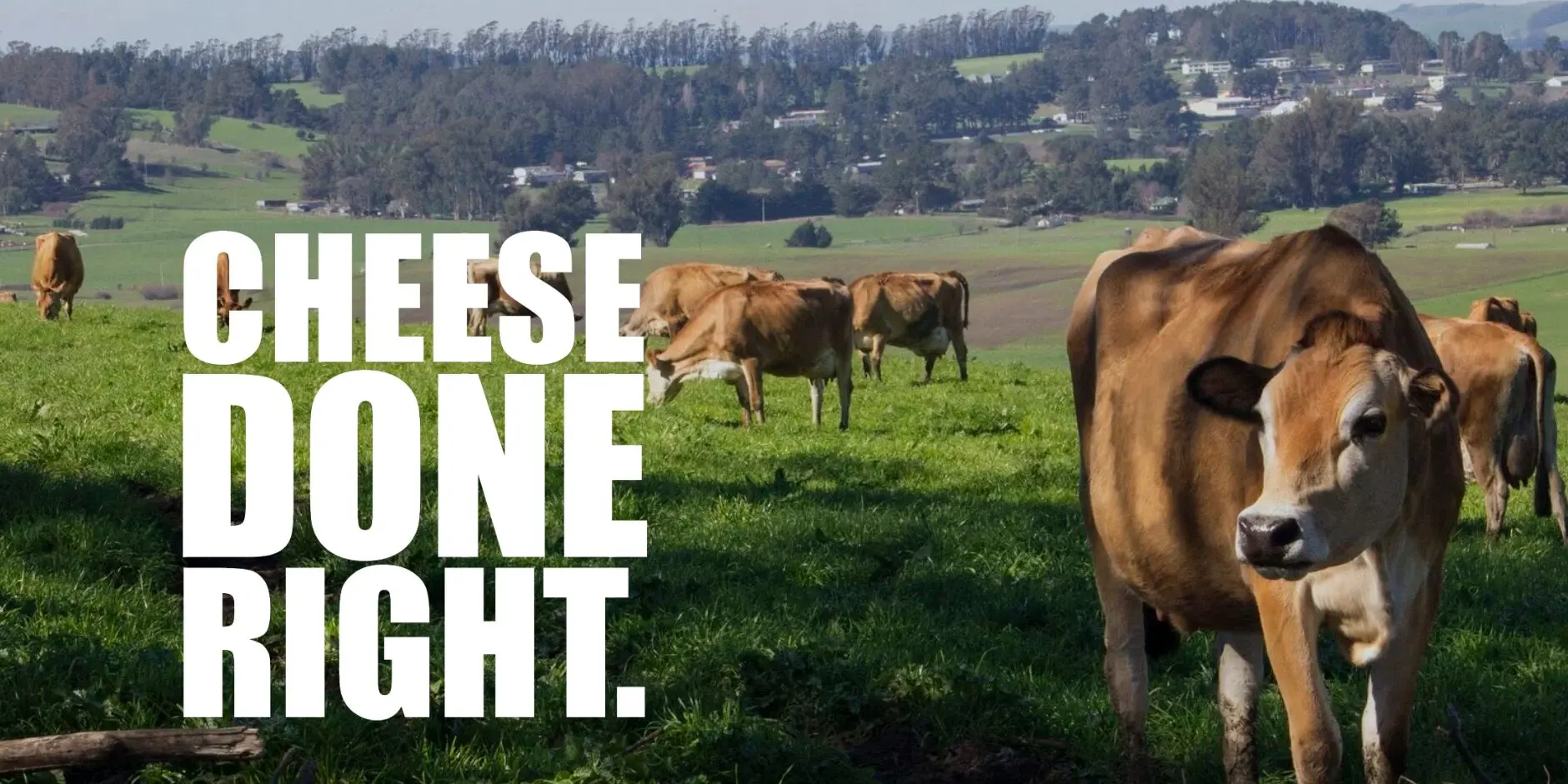 Agentforce: AI w praktyce małego biznesu